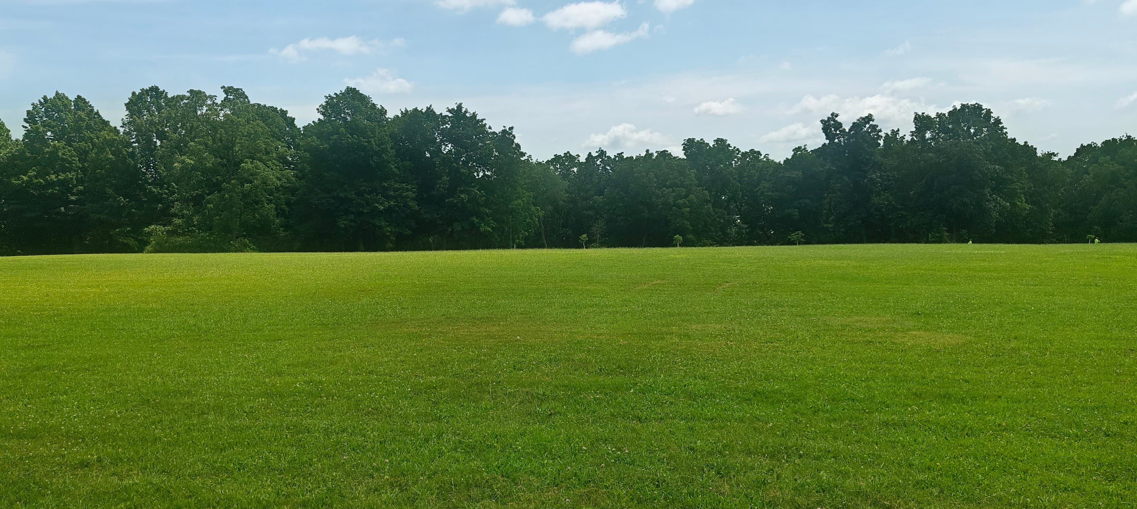 Broad, flat grassy summit area bordered by trees at Blue Mound State Park.
