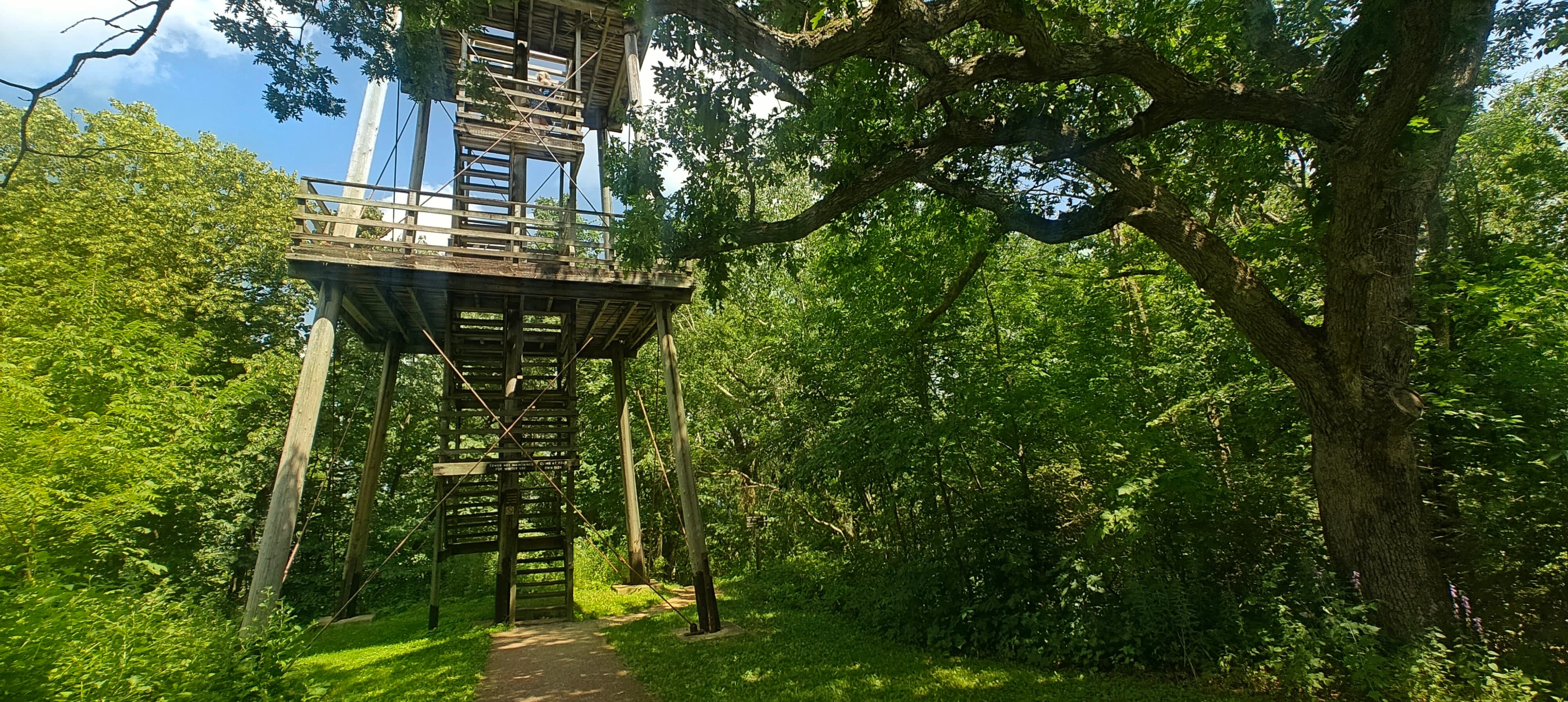 Wooden observation tower and staircase rising through leafy trees in Blue Mound State Park.
