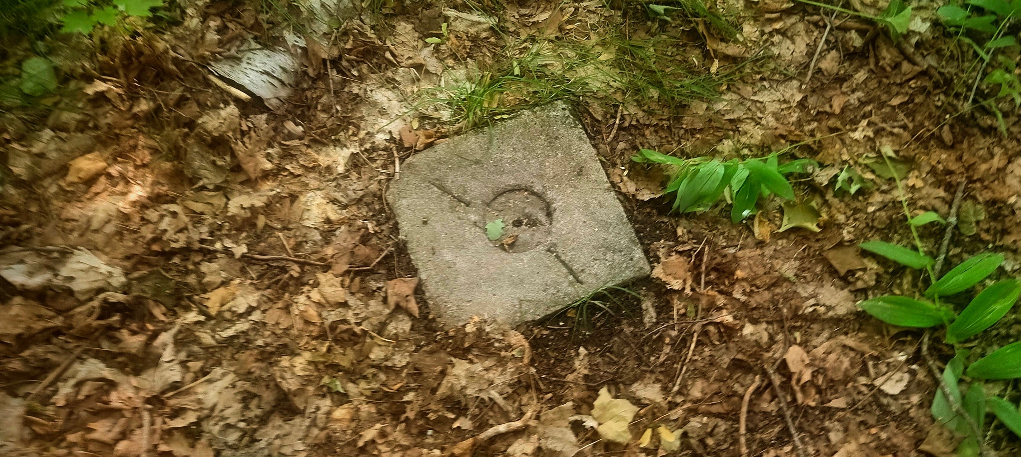 Square concrete marker with a metal centre set among dry leaves on the forest floor.