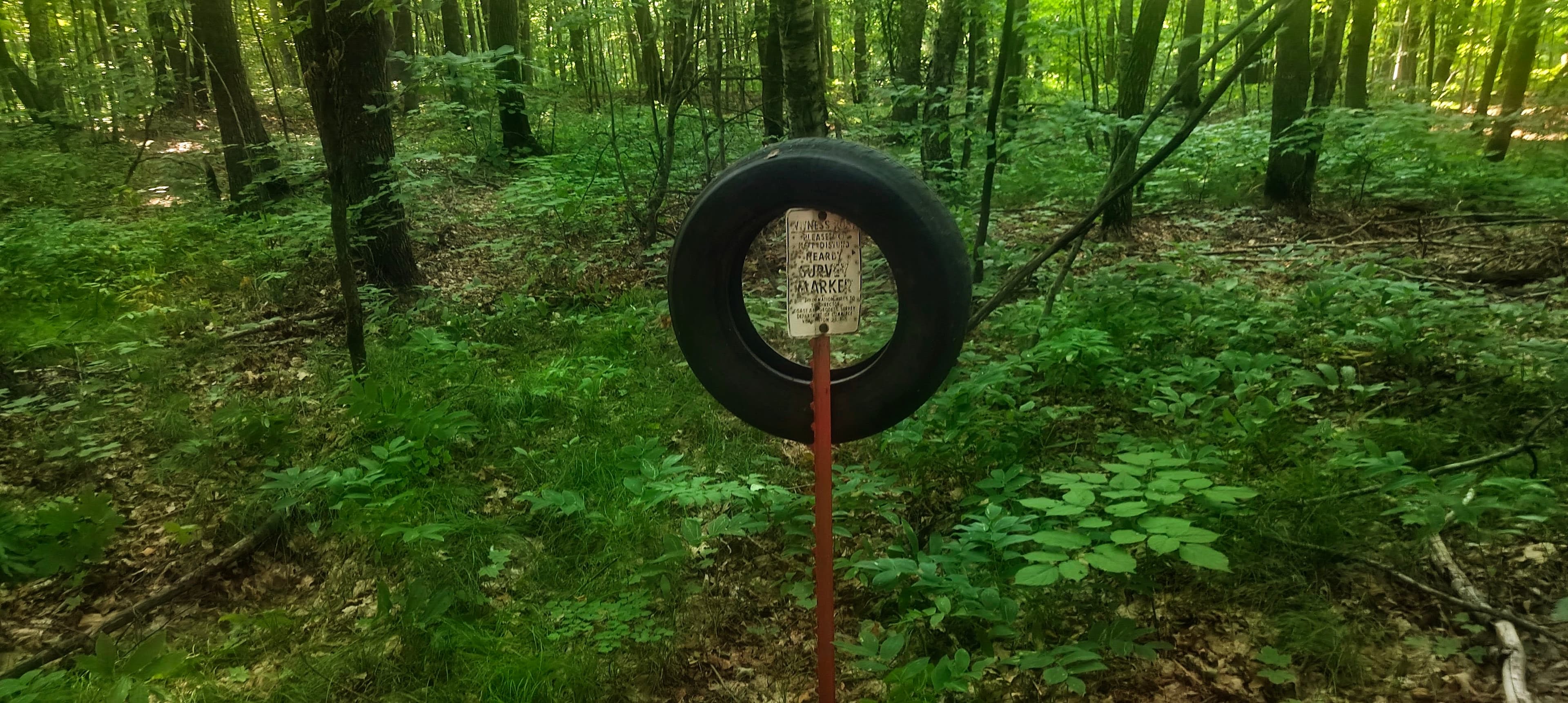 Small sign mounted on a red post inside a black tyre, surrounded by dense green forest.