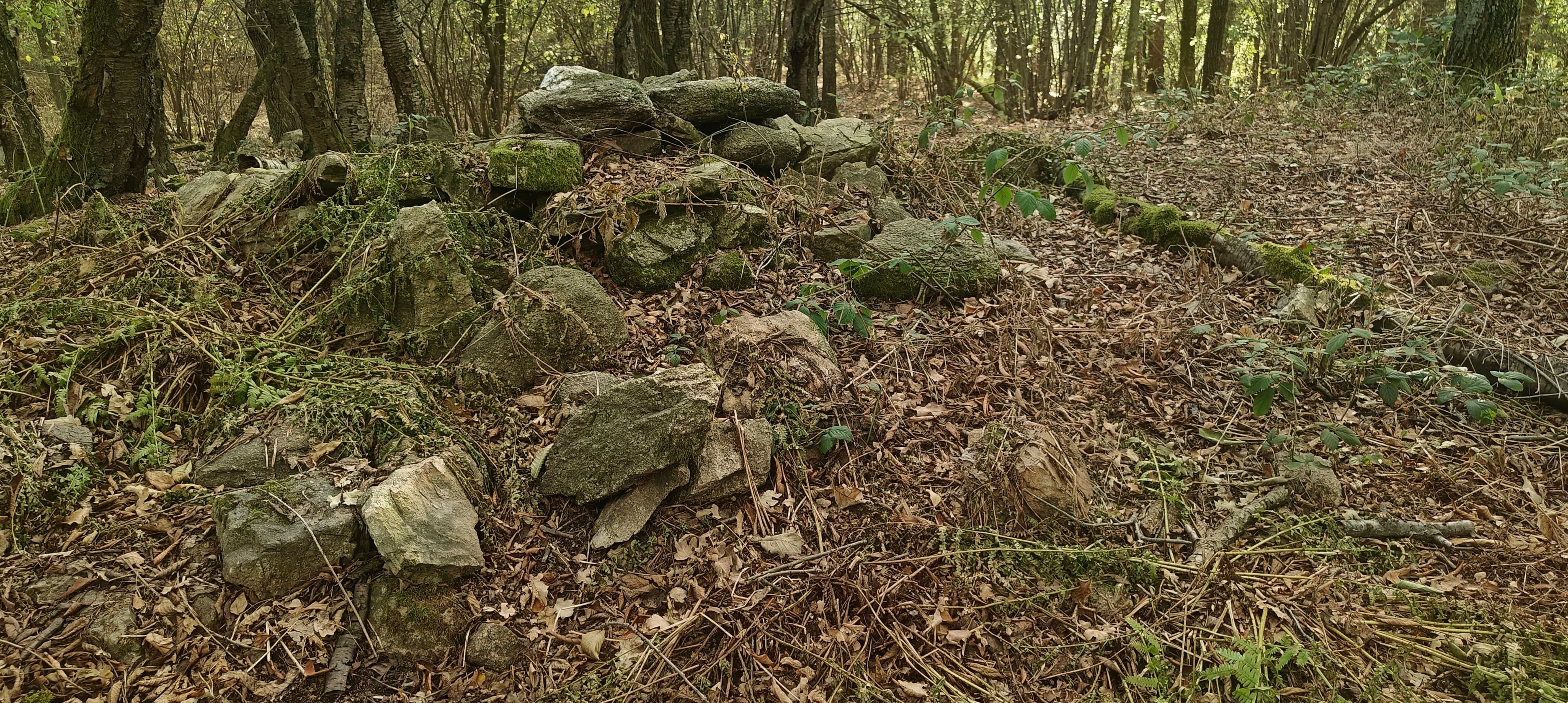 Loose angular rocks and moss among leaves on the wooded upper slopes of Jedlice.