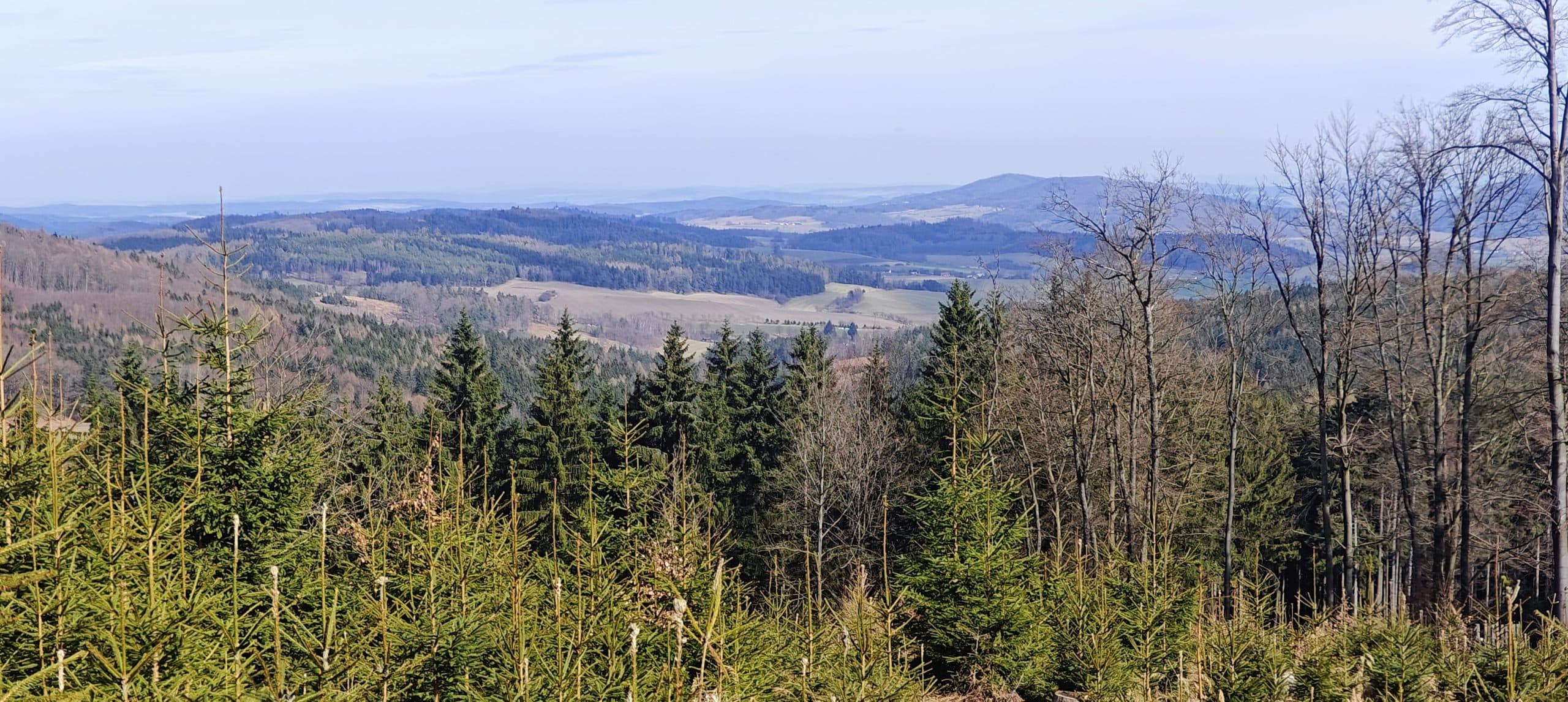 Rolling wooded hills and fields seen through a logged opening on Koráb’s upper slopes.