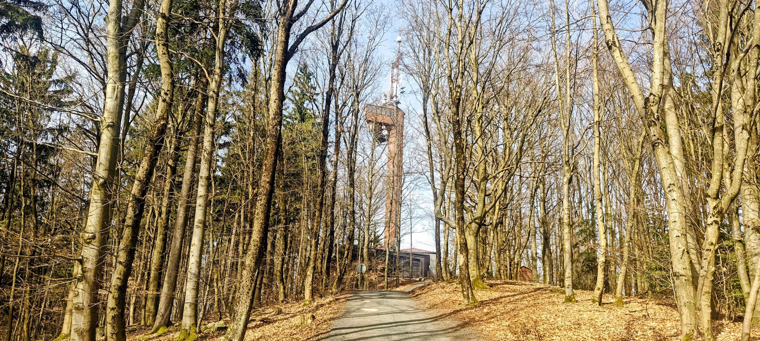 Paved road climbing through bare trees towards the steel Koráb lookout tower.
