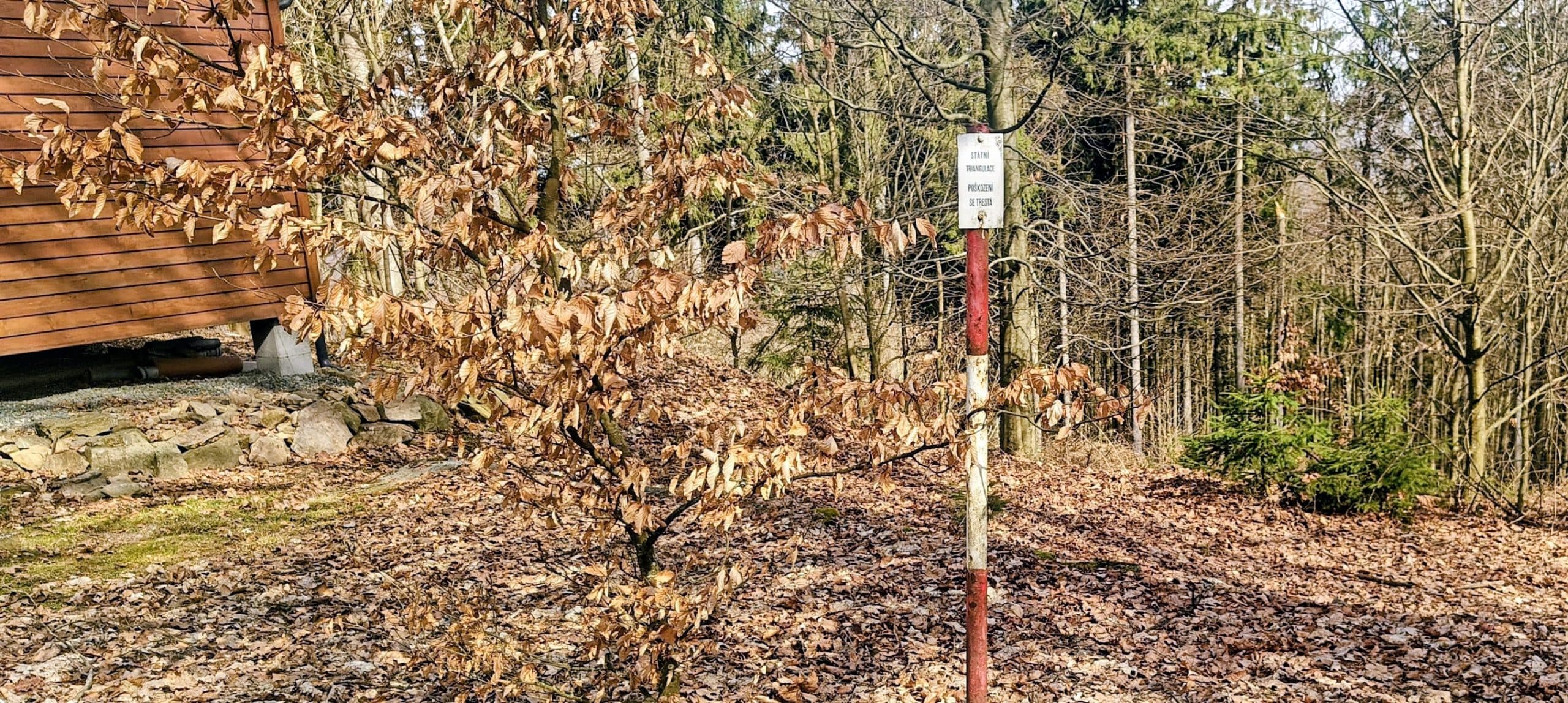 Bent red-and-white survey pole beside the wooded developed summit area on Koráb.