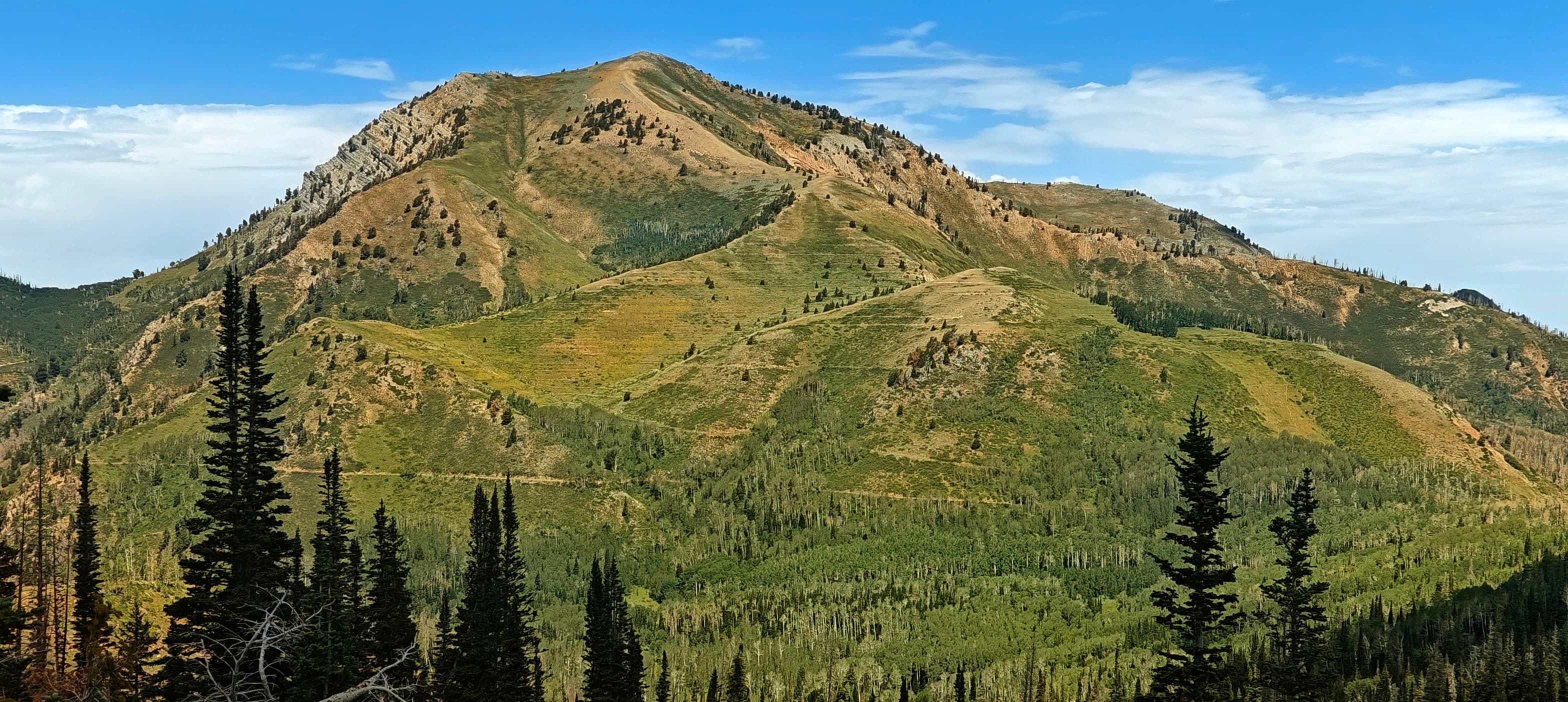 A high rounded mountain ridge rising above conifer forest and green lower slopes.