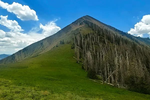 A steep green mountain ridge above open meadows and a stand of dead trees beneath bright clouds.
