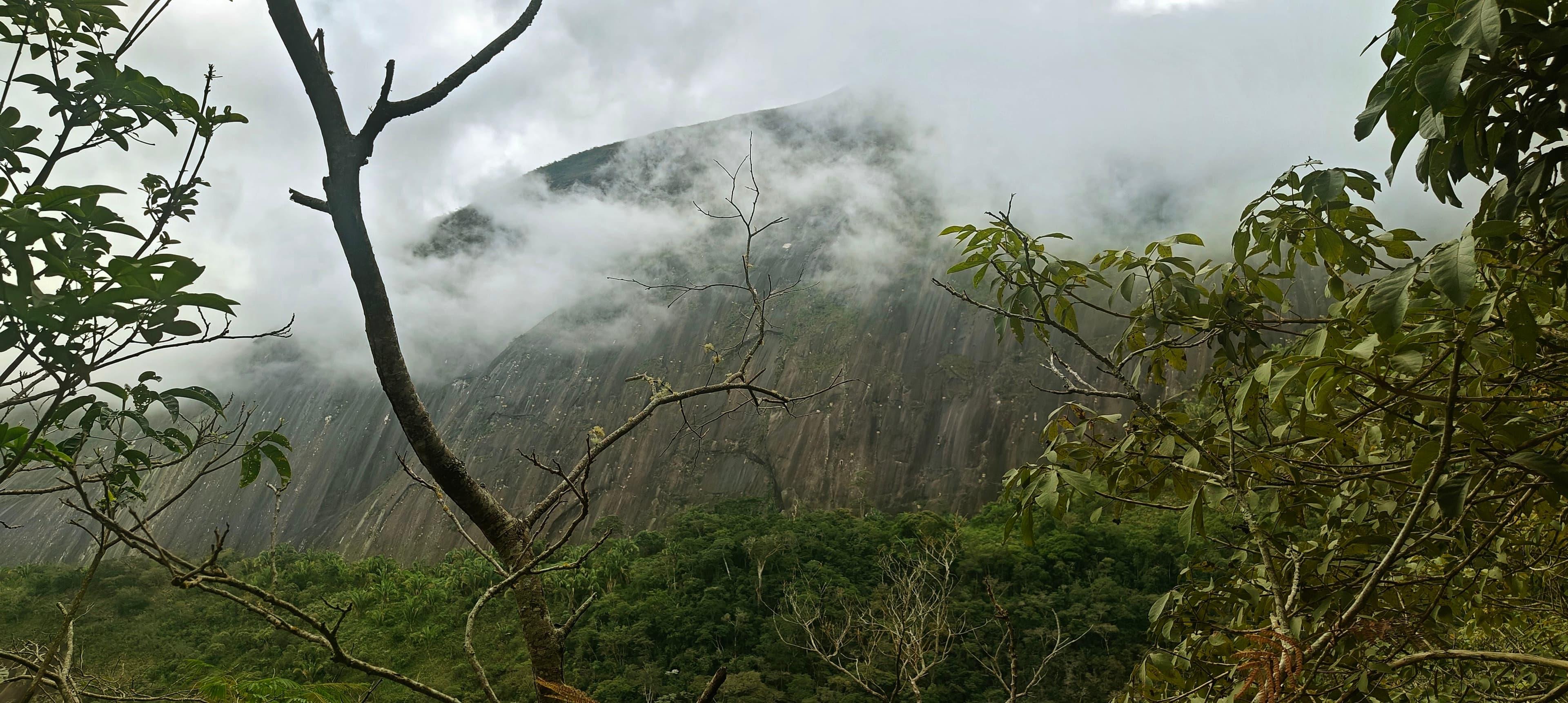 Forested mountain slopes and low cloud seen through sparse roadside branches.
