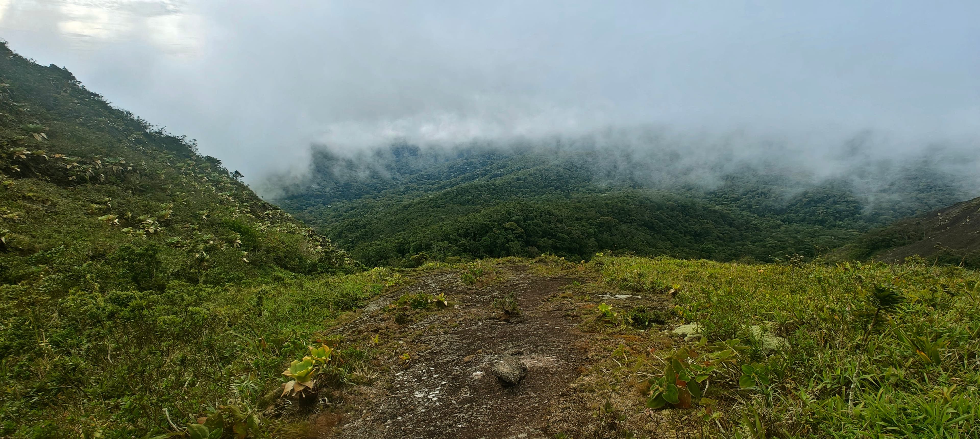 Low cloud spilling across green upper slopes and exposed rock.