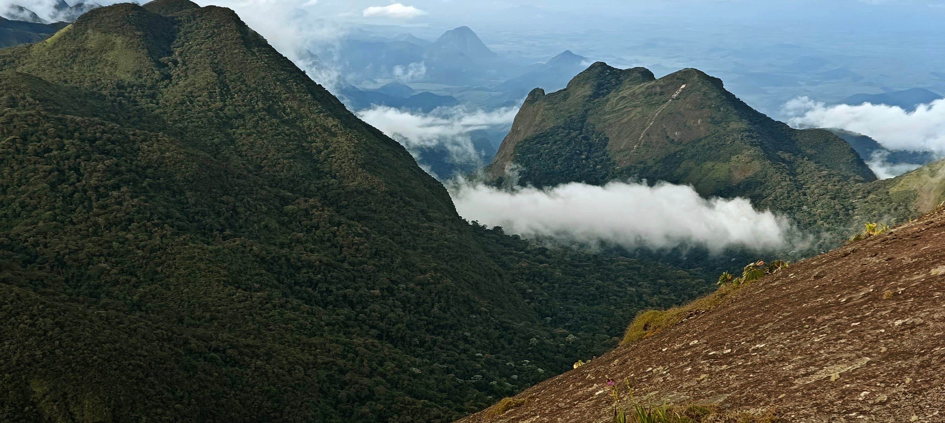 Steep forested ridges rising above a horizontal band of low cloud.