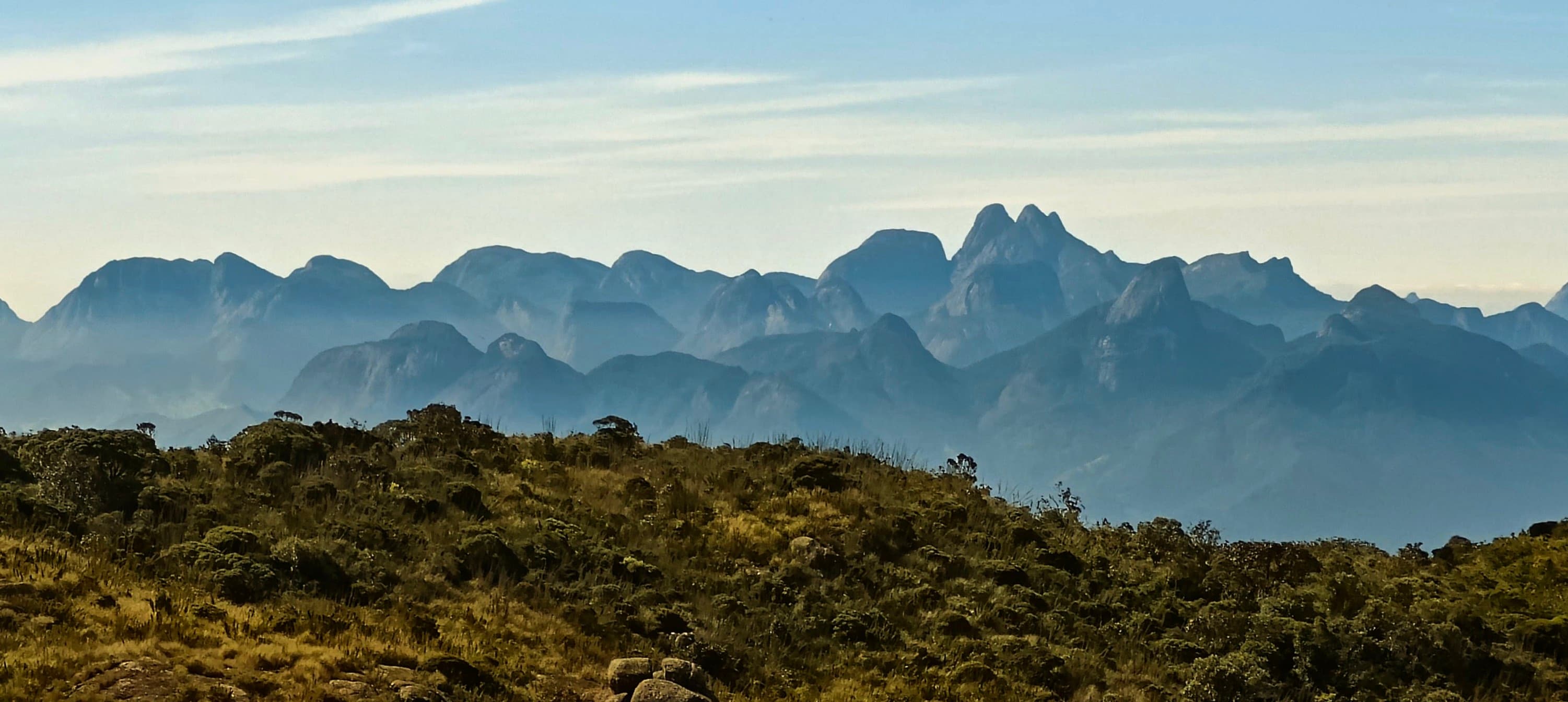A serrated chain of rocky peaks seen across high grass and low vegetation.
