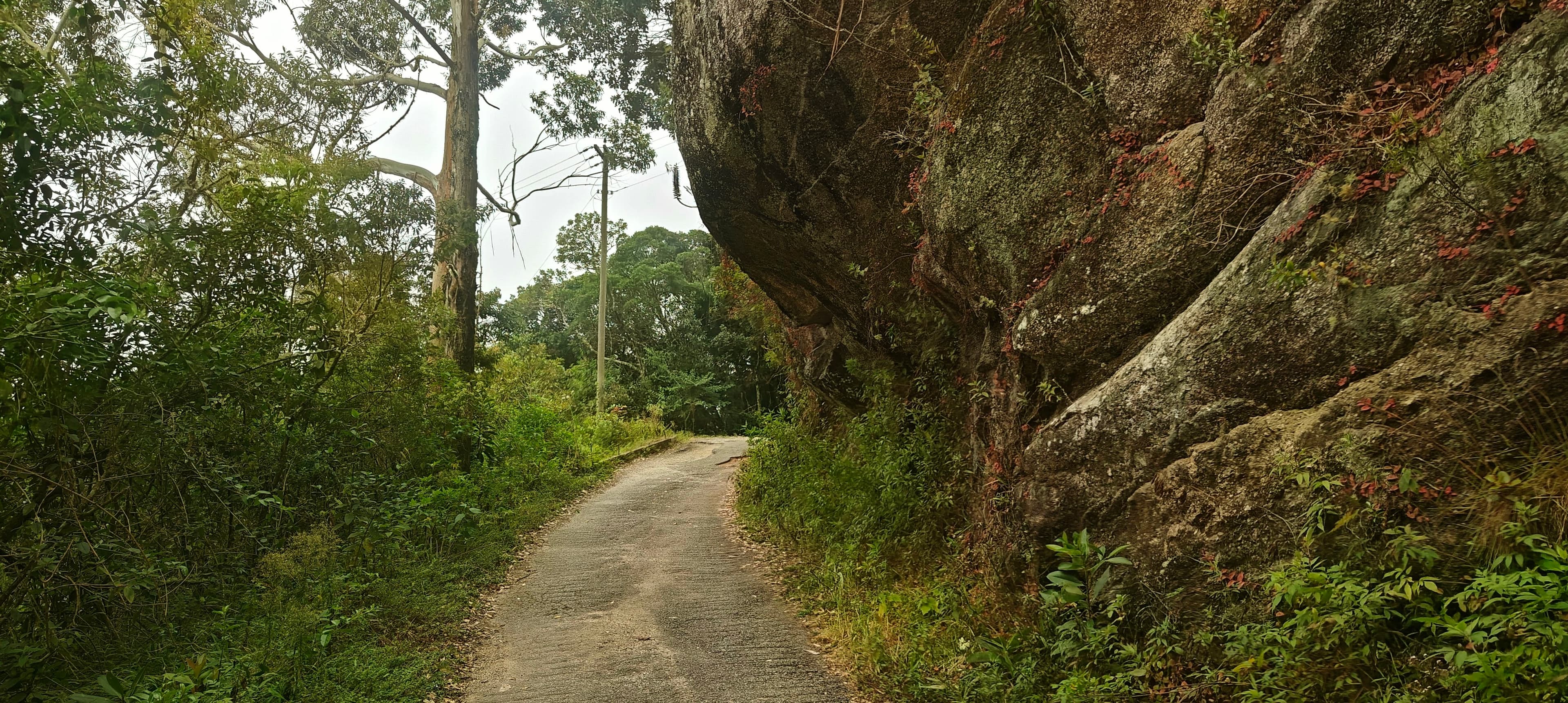 Narrow paved mountain road passing beneath a large overhanging rock wall in forest.