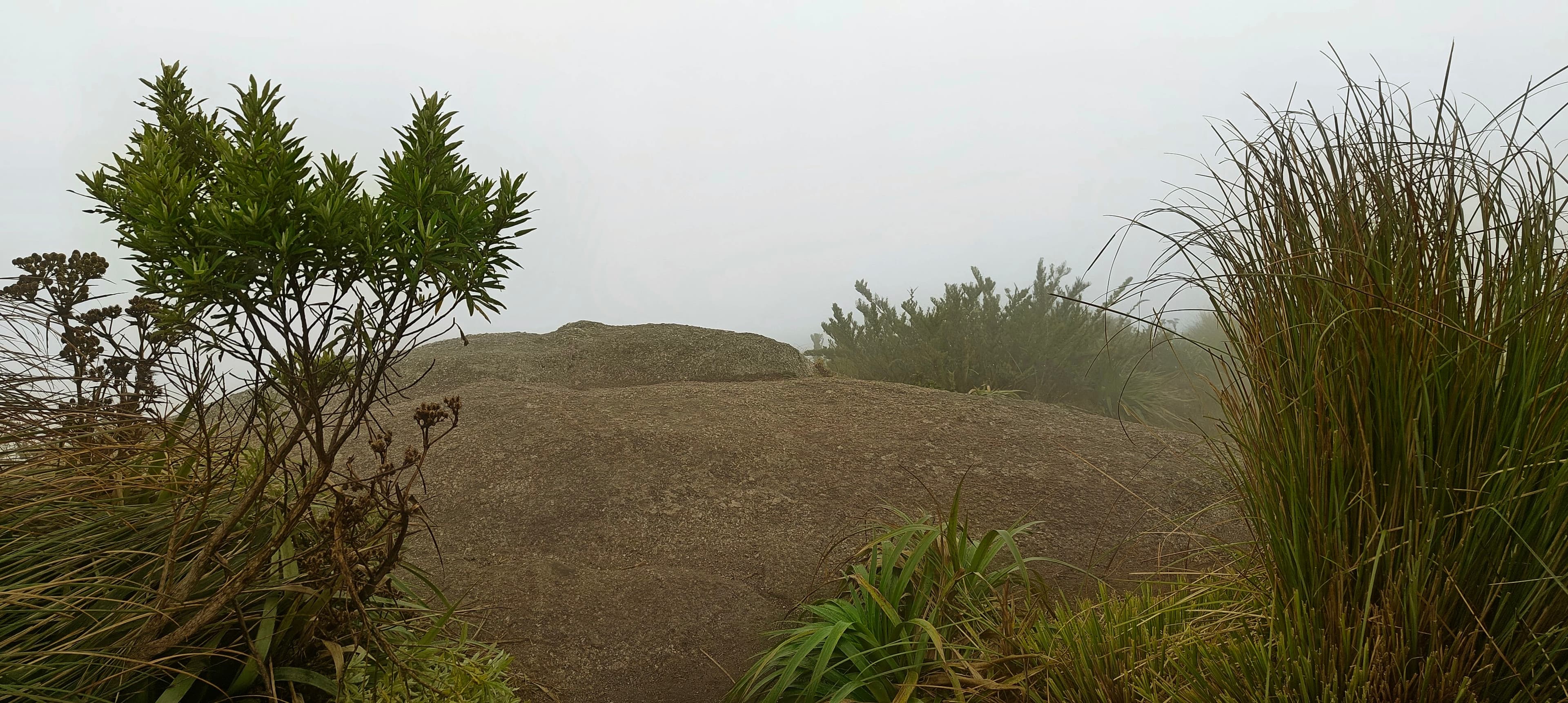 Rounded rock slabs and low mountain vegetation fading into fog near the summit.