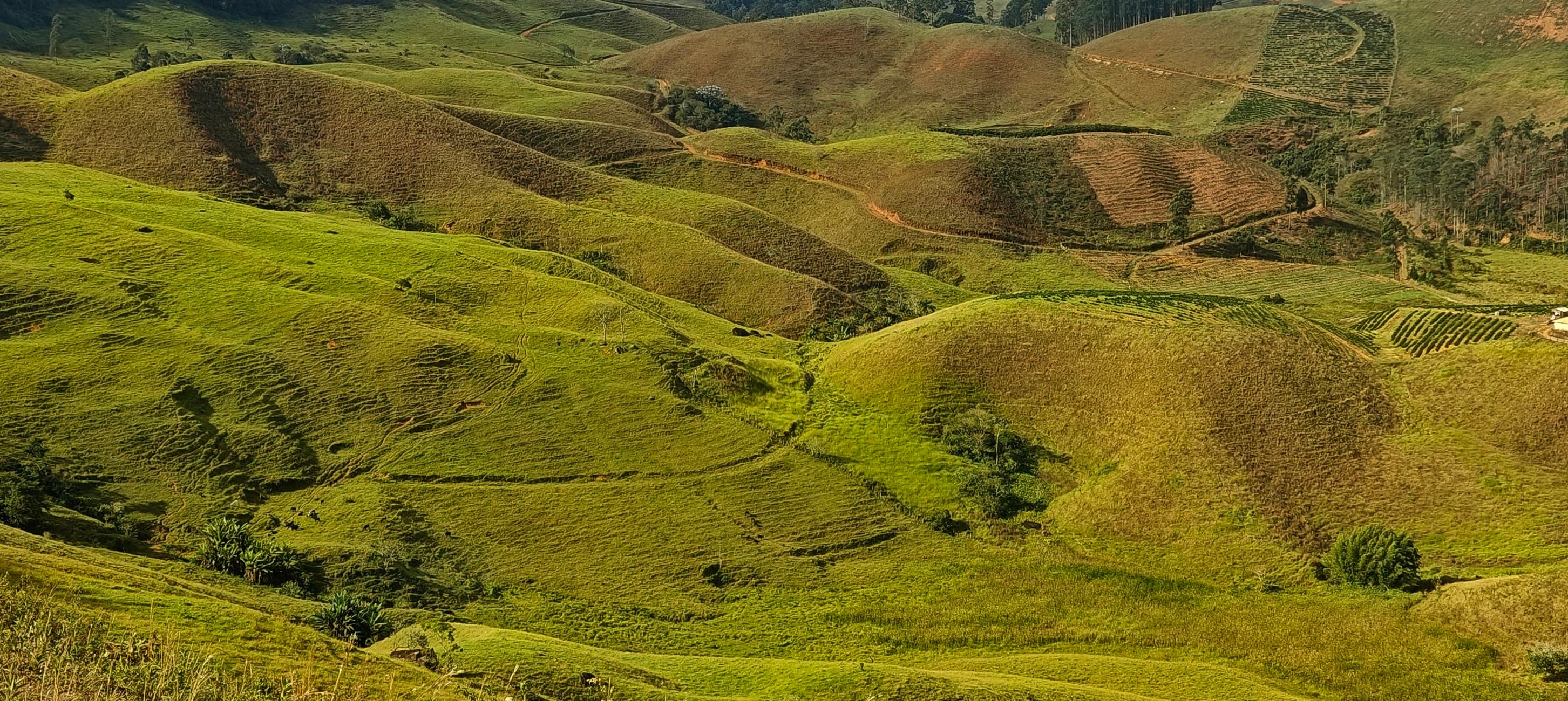 Green and brown rounded hills divided by tracks and patches of pasture.