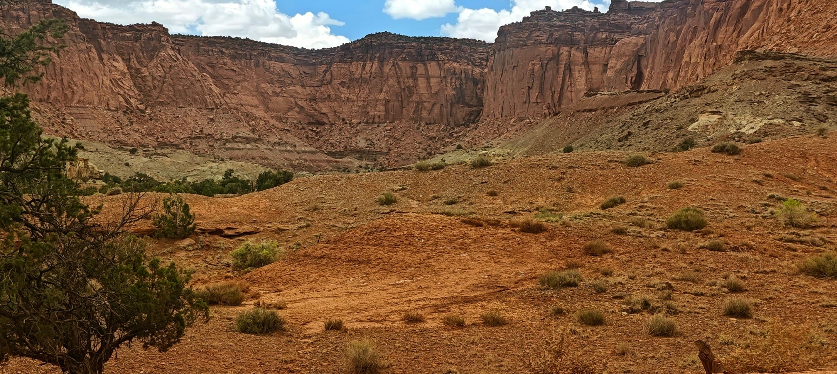 Broad layered red sandstone cliffs rising above a dry, shrub-dotted desert floor in Capitol Reef National Park.