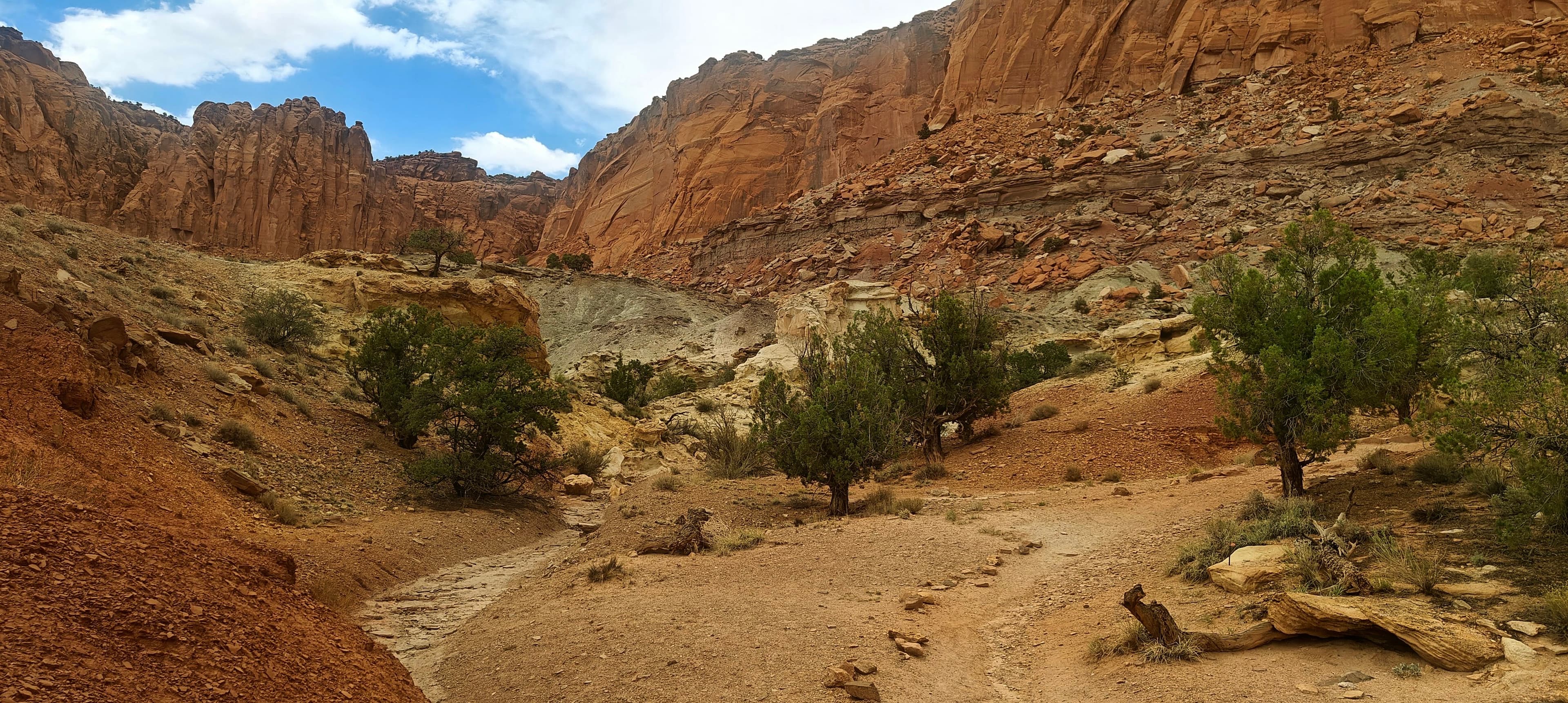 A sandy wash winding between red cliffs, low shrubs and scattered trees in Capitol Reef National Park.
