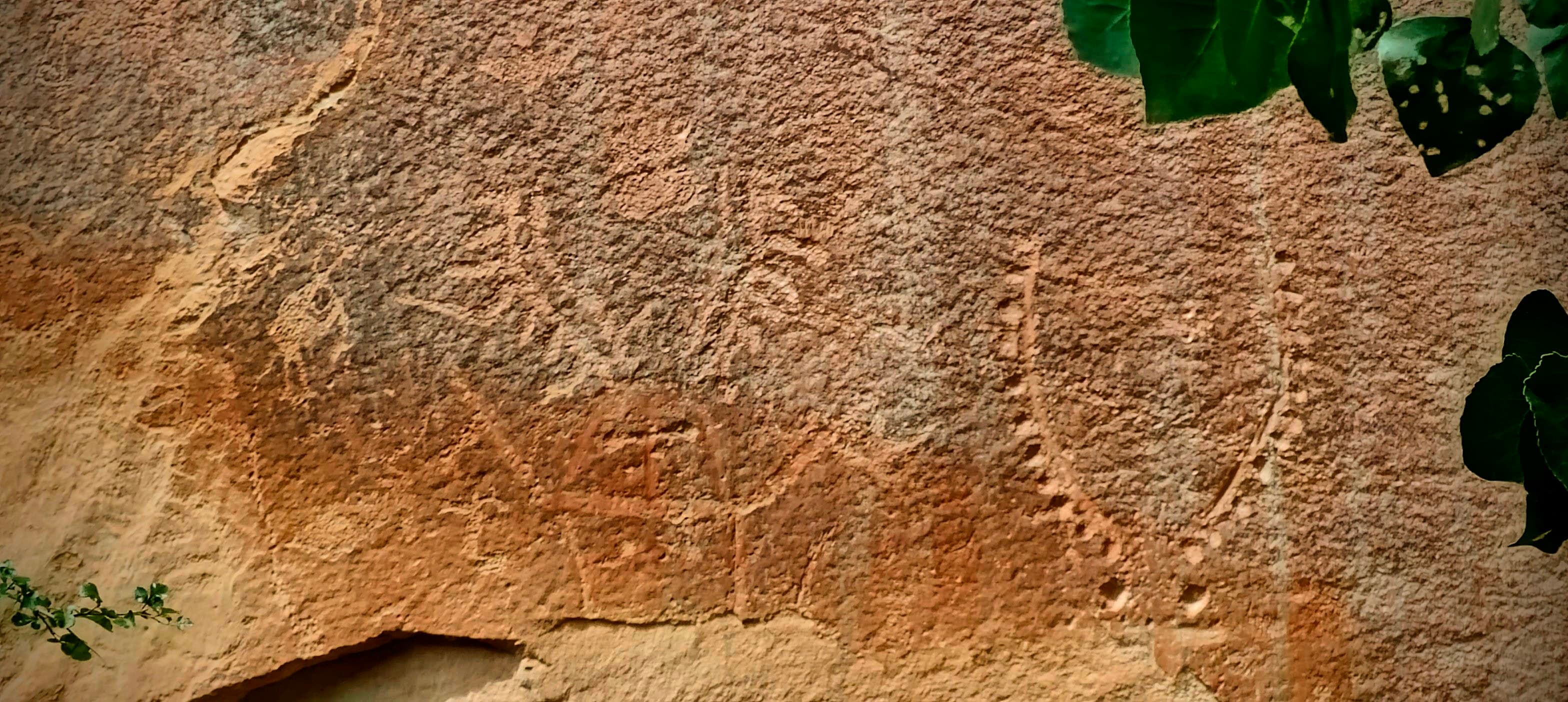A broad sandstone panel with numerous faint Fremont Culture petroglyphs, partly framed by green leaves.