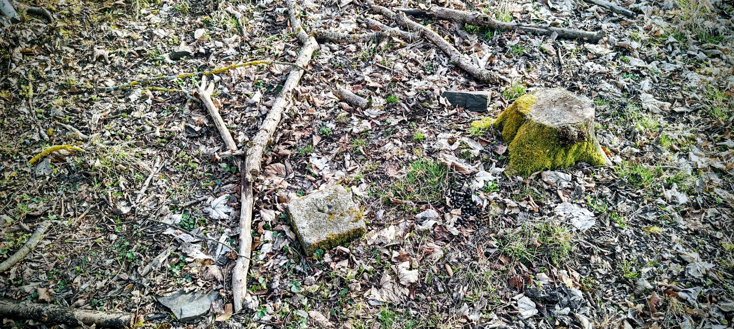 Small moss-edged concrete survey remnant set into leaf litter near Říčej summit.