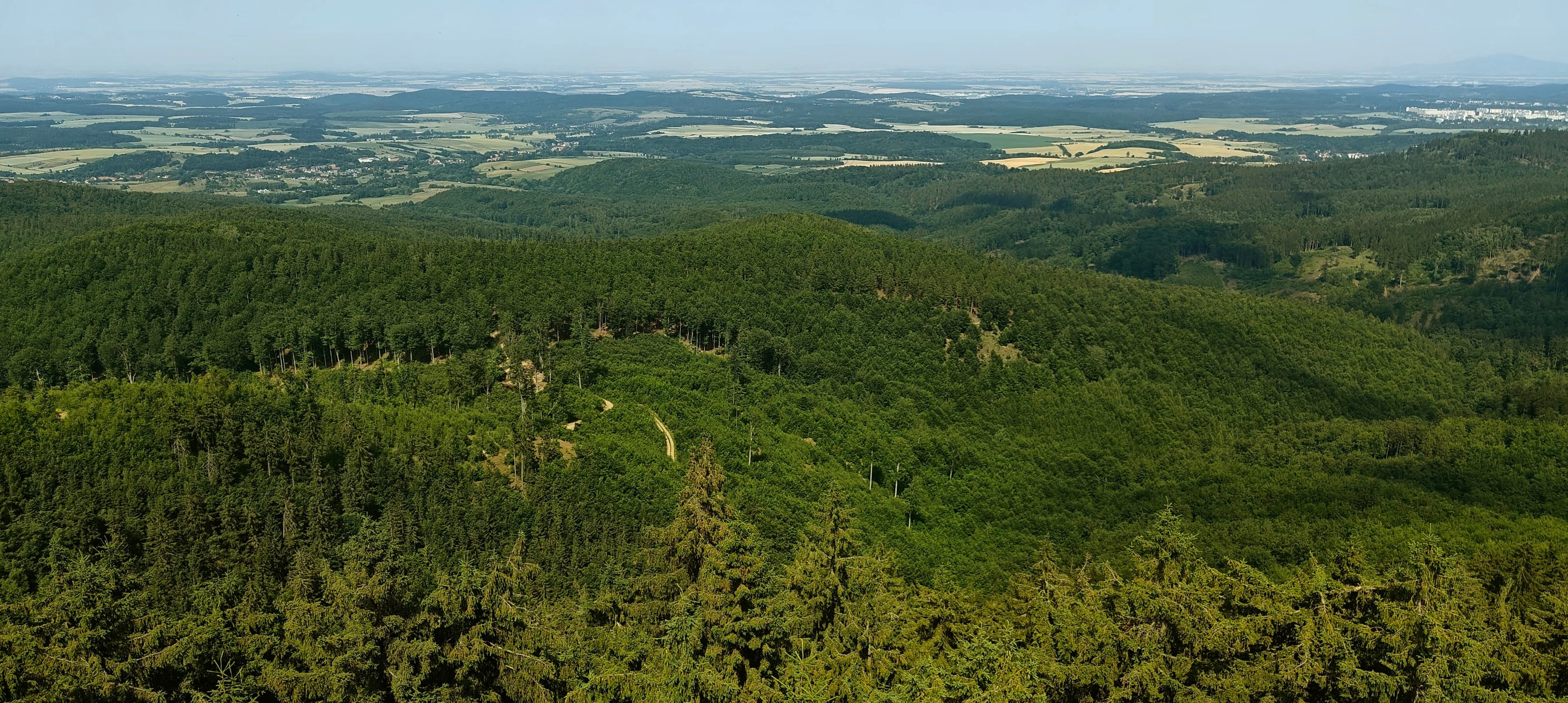 Forested ridges and a winding clearing seen from the observation tower on Trójgarb.