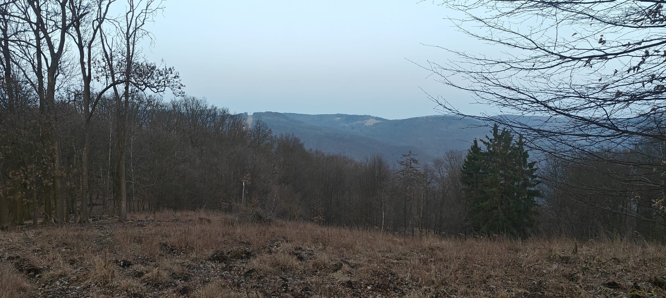 Small grassy clearing on Vaňovský vrch with wooded slopes and a distant ridge under a pale sky.