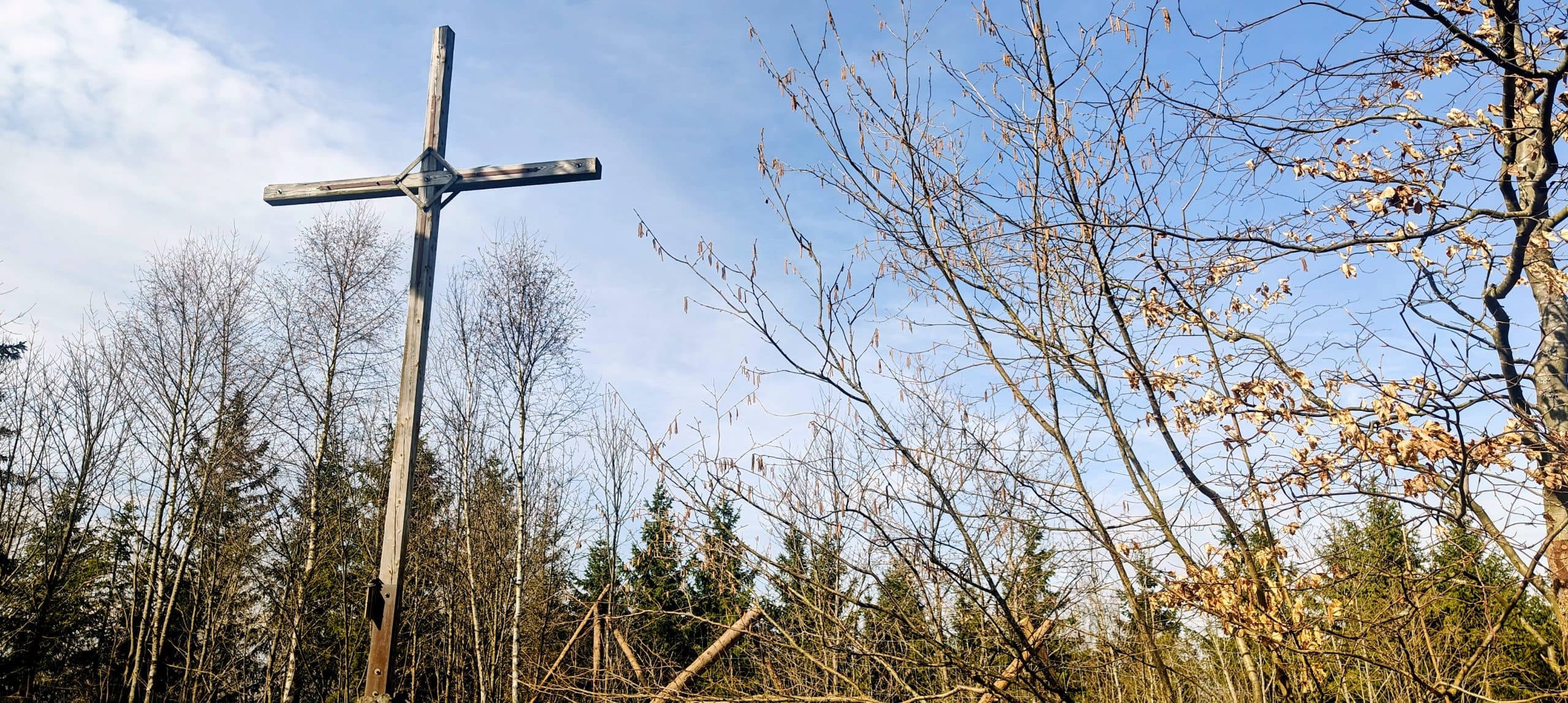 Tall wooden cross on the wooded lower south point of Velký Bítov.