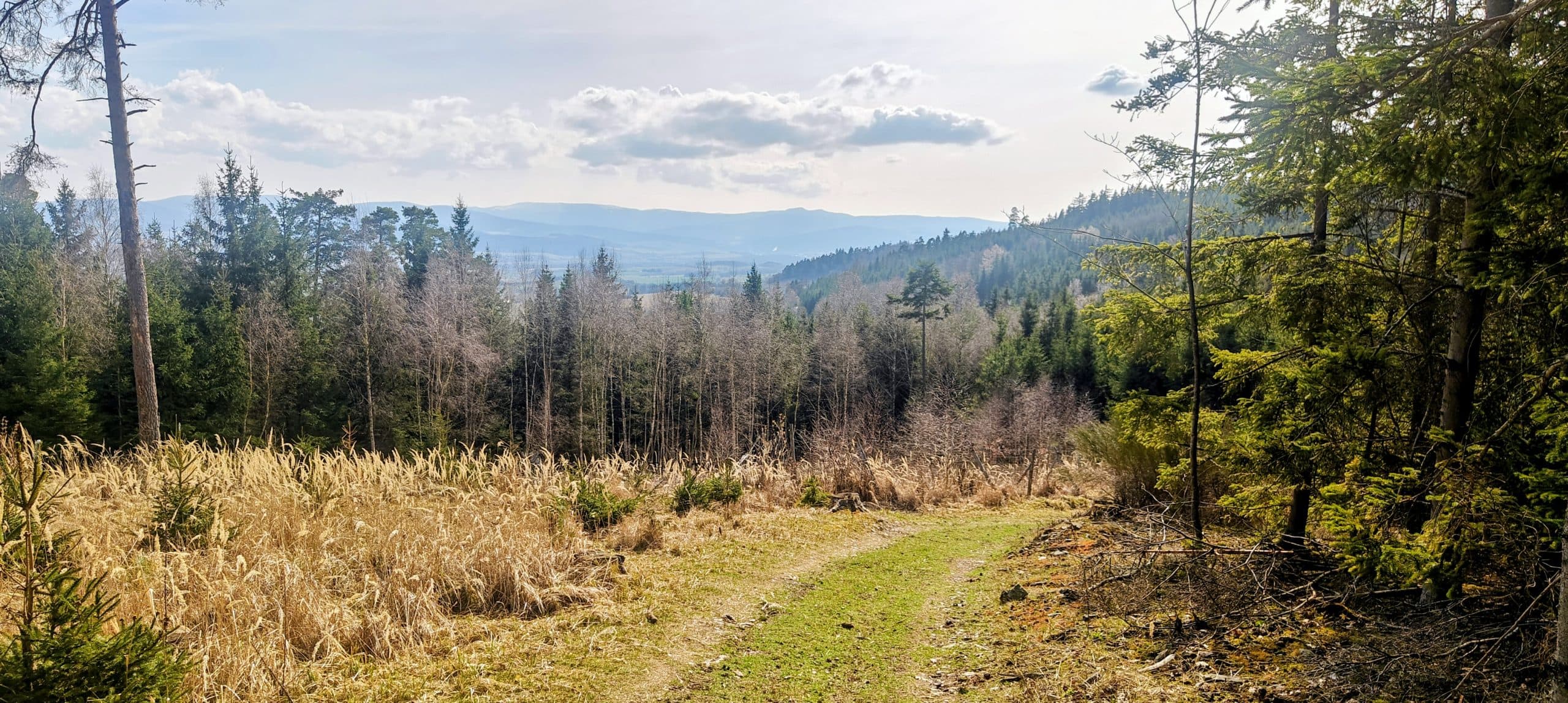 Grassy forest road on Velký Bítov with a clearing and distant low ridges under a partly cloudy sky.