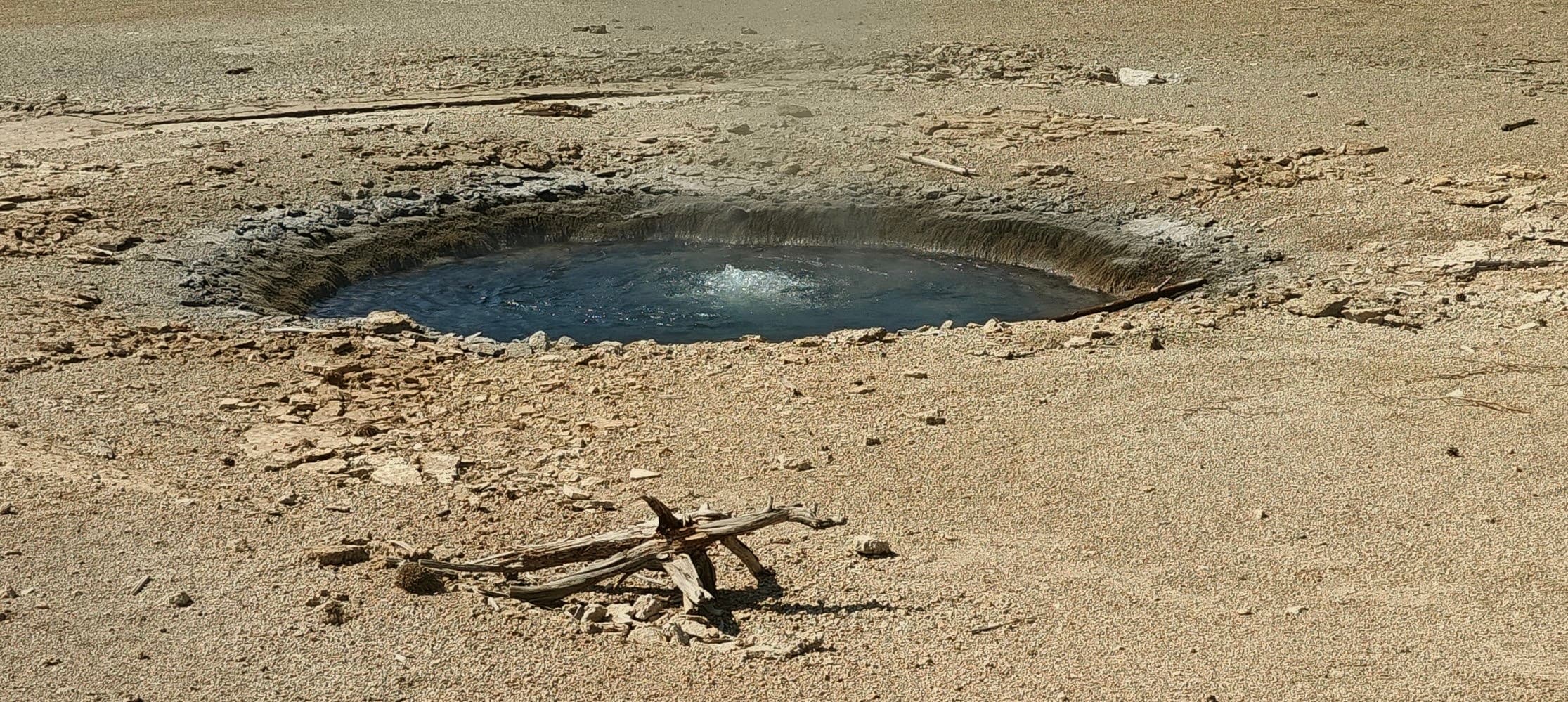 A dark blue hot spring is edged by pale mineral crust and fallen branches.