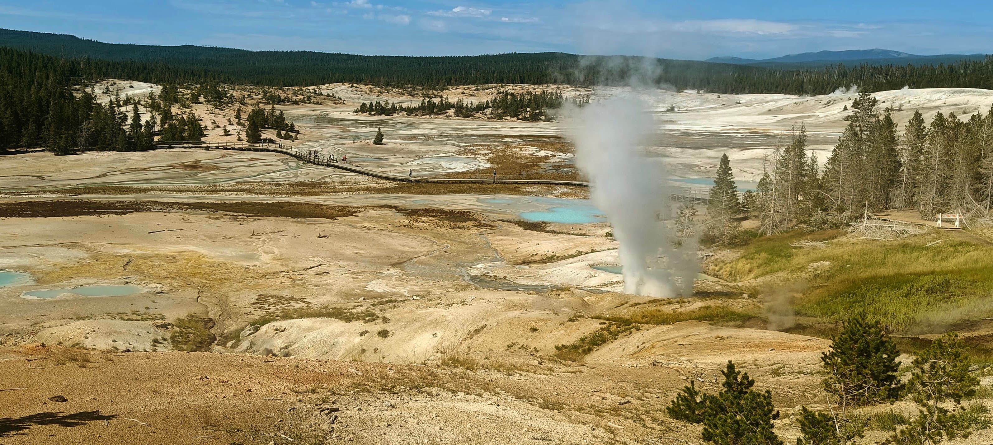 A white steam plume rises from ochre and cream geothermal deposits beside conifers.