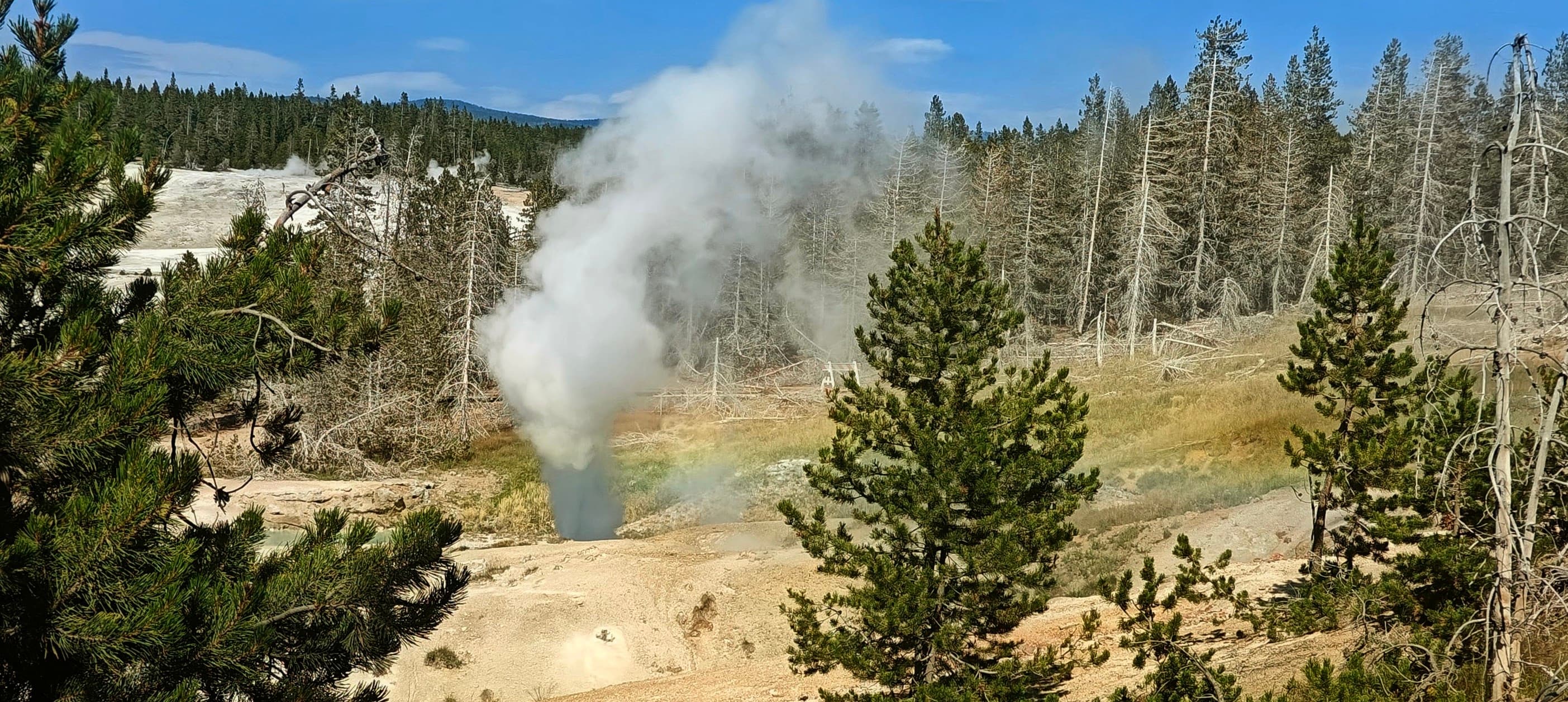 Blue pools and pale geothermal ground lie below dark forest and a distant mountain.