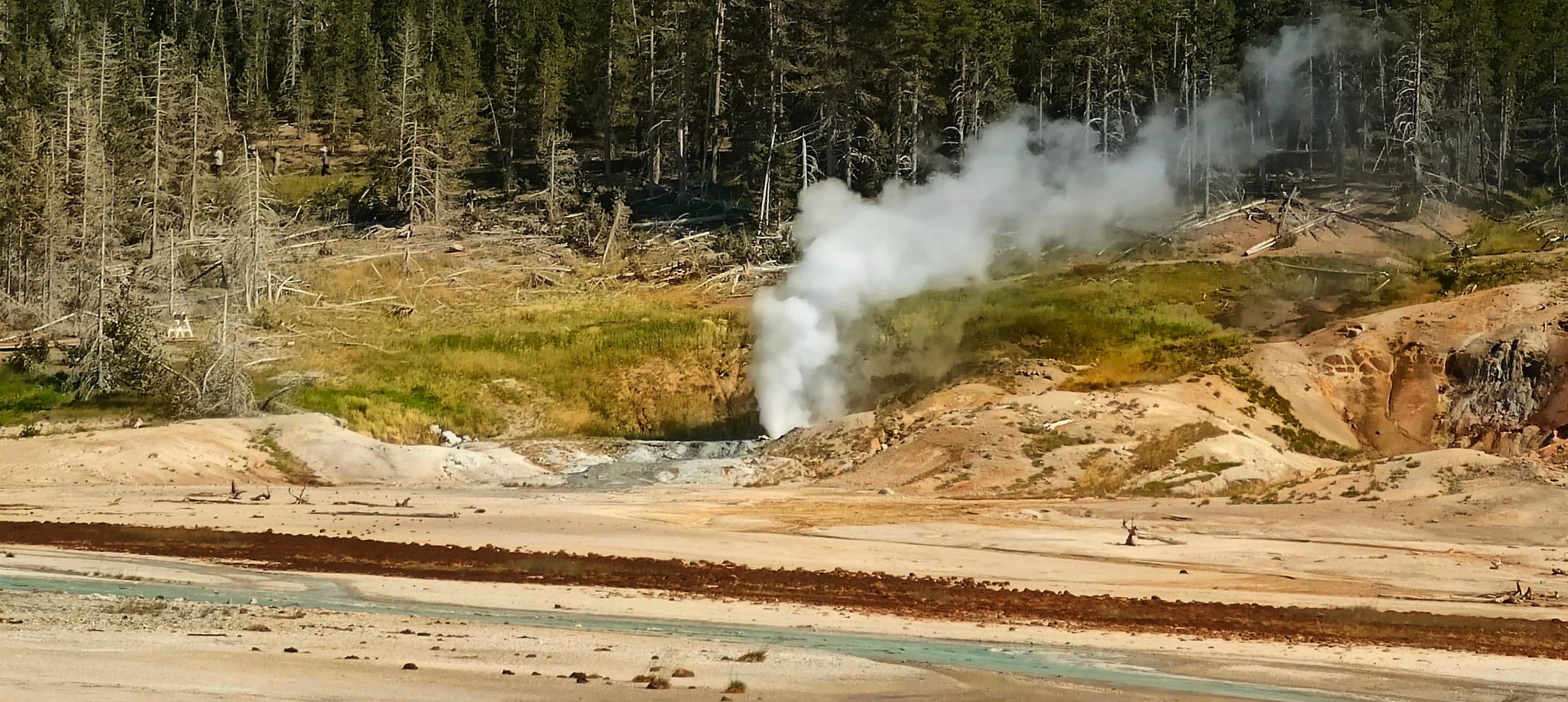 A compact white steam plume rises from orange geothermal ground below dark trees.