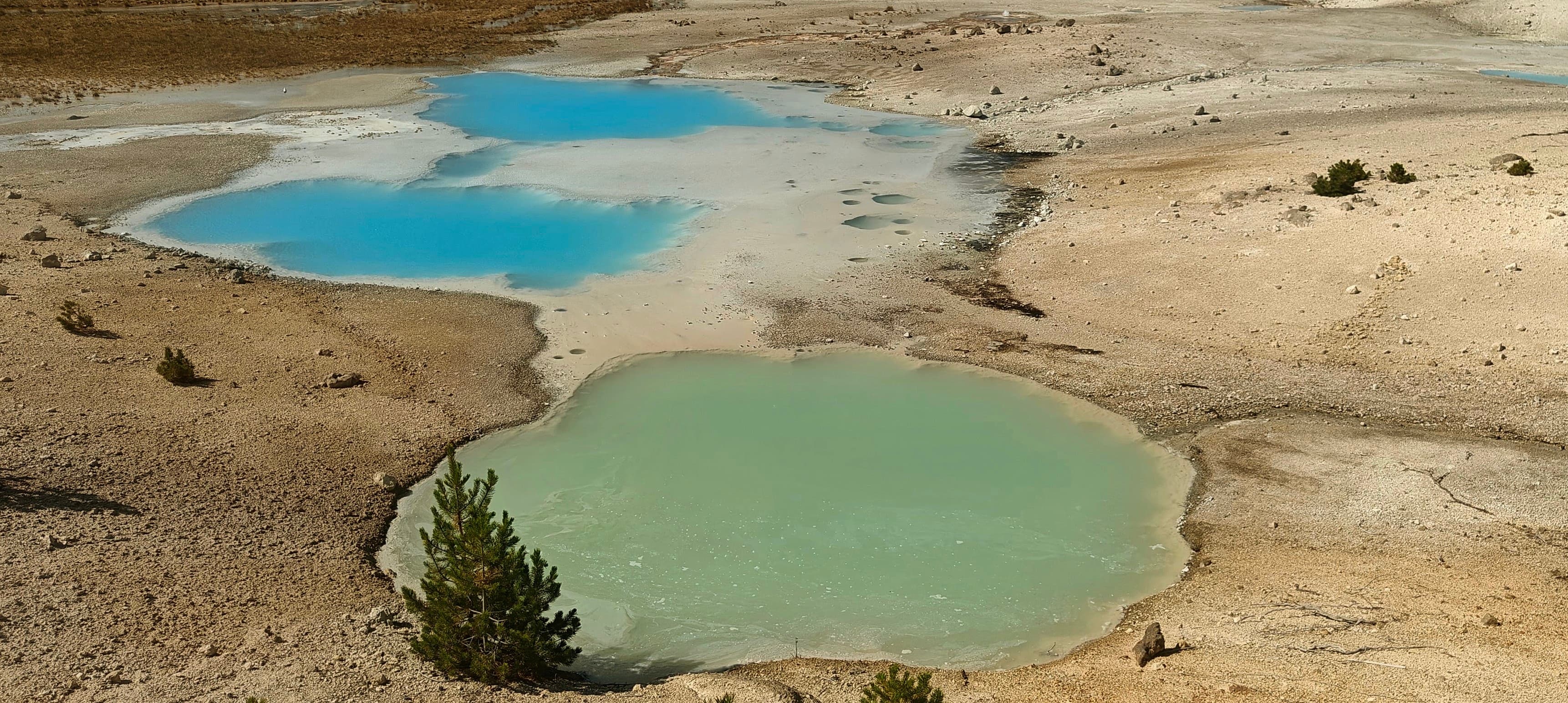 Two connected turquoise pools sit in pale mineral ground below dark conifers.