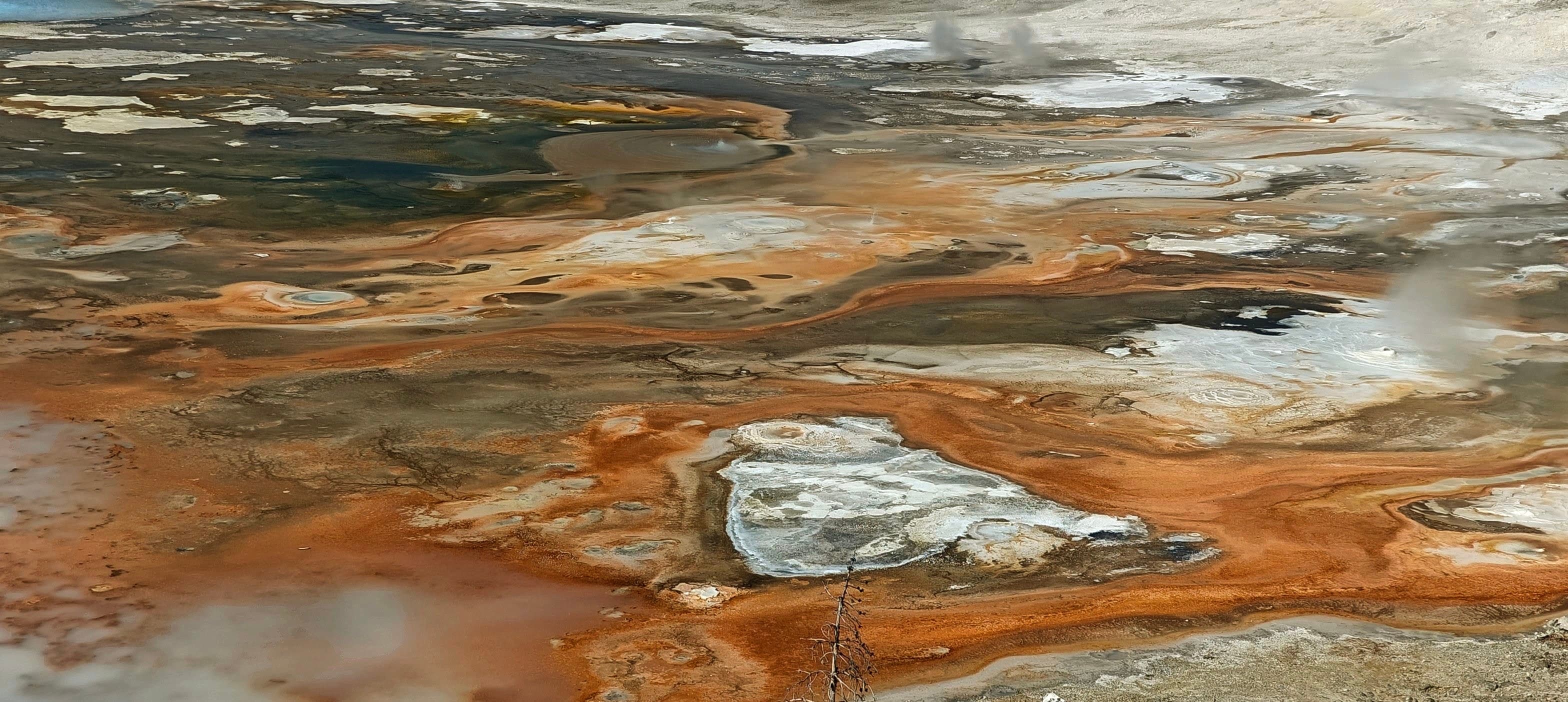 Rust-orange, black and white geothermal deposits form branching patterns around shallow water.