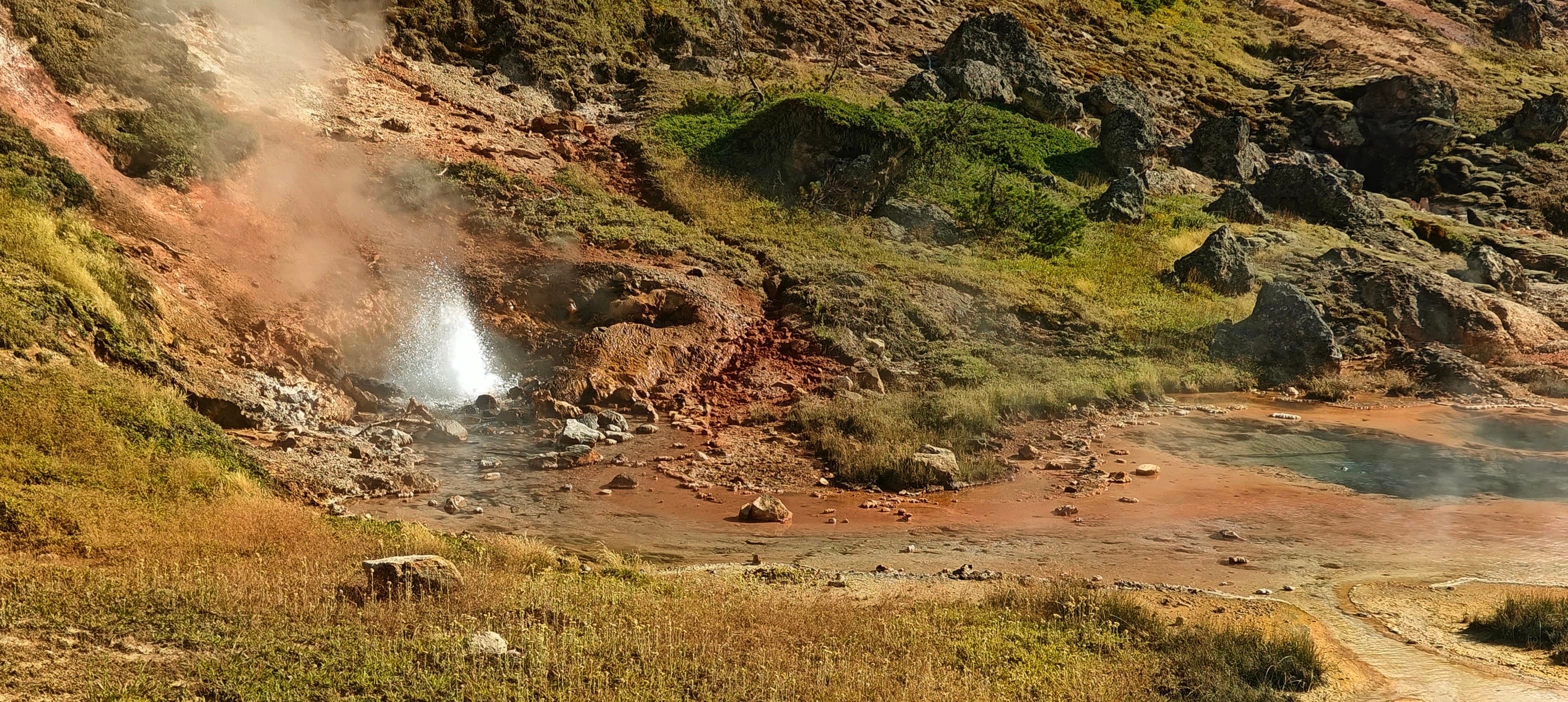 Red and ochre geothermal ground rises beside a small steam plume and green forest.