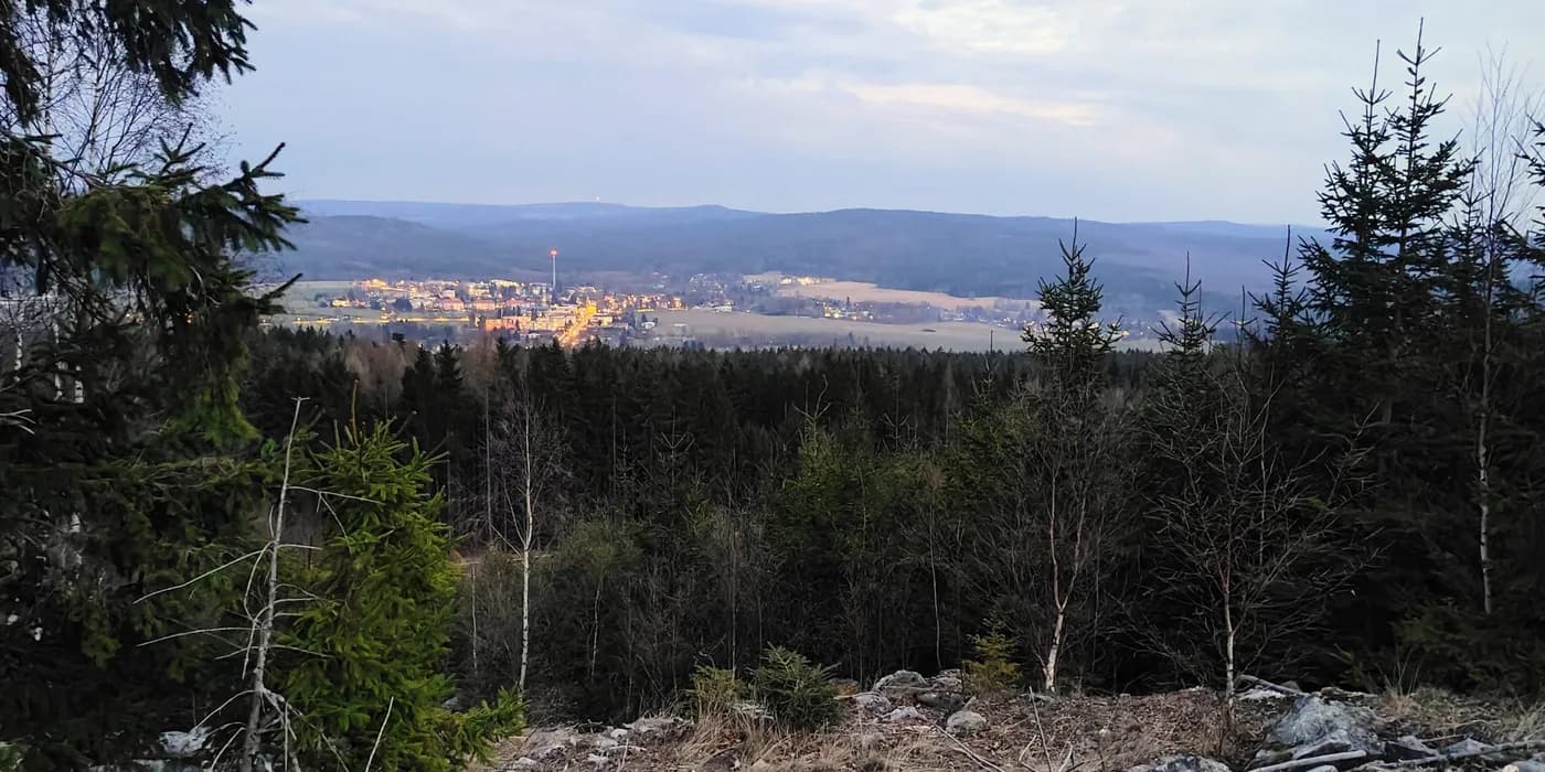Town lights beyond dark conifers under a pale evening sky from Bambule.