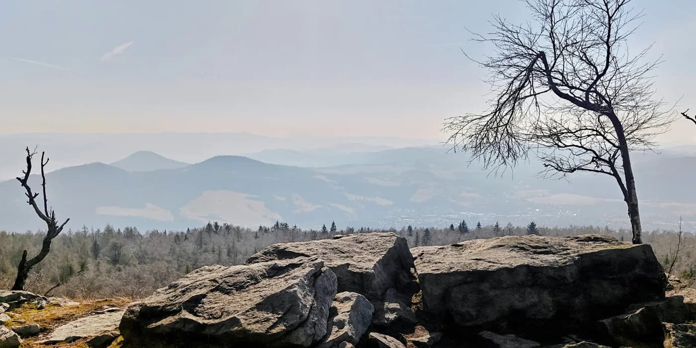 Sandstone cliff edge and a leafless tree overlooking hazy forested hills from Děčínský Sněžník.