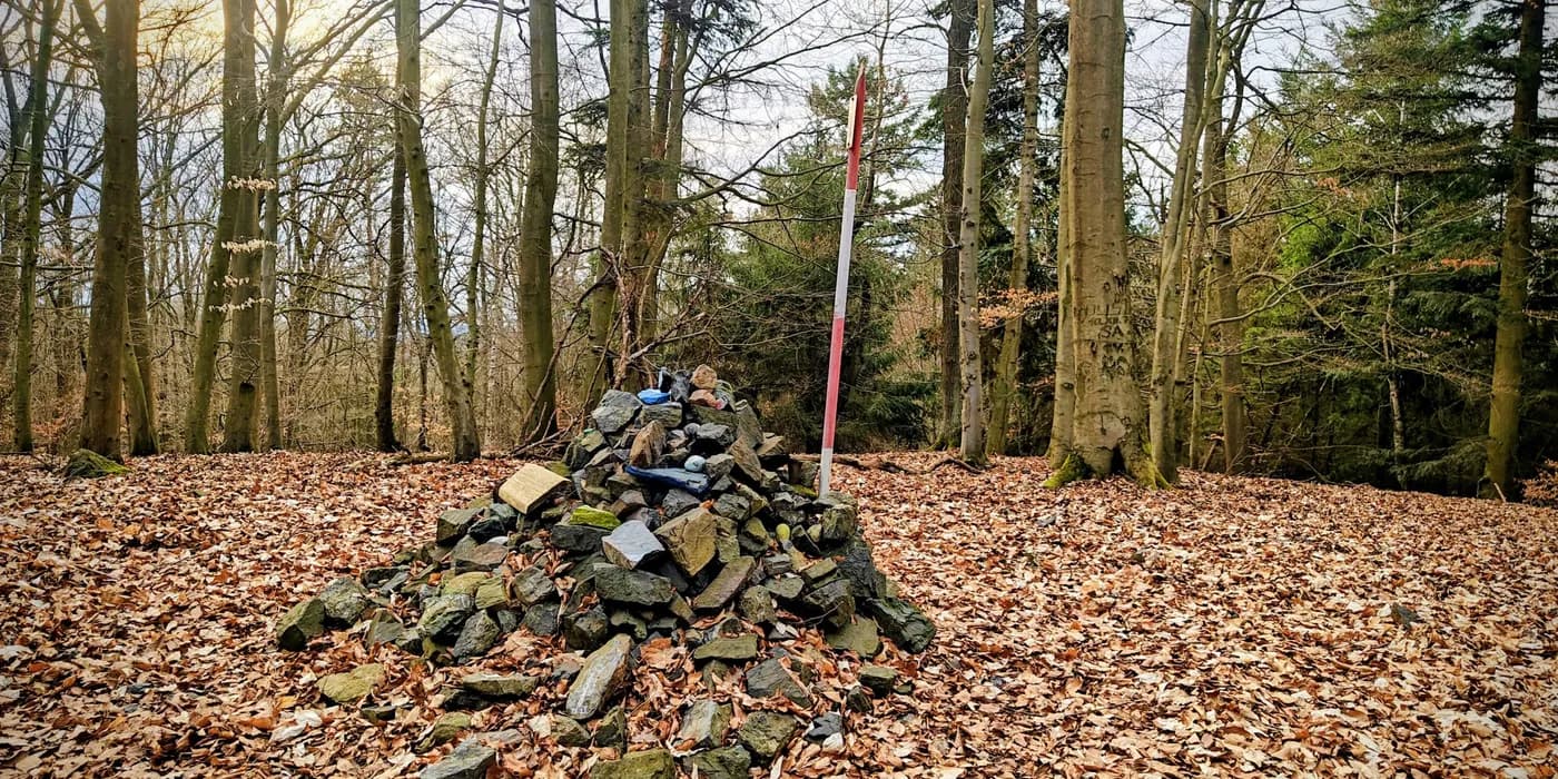 The broad forest summit of Stramchyně with its cairn, red-and-white pole, and leaf-carpeted early-spring surroundings.