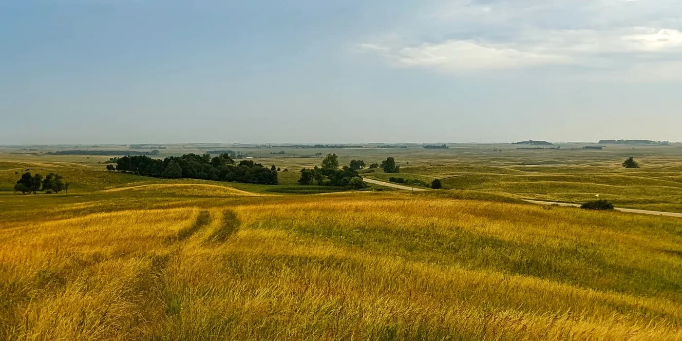 Golden prairie grass and faint vehicle tracks across rolling farmland under a hazy sky.