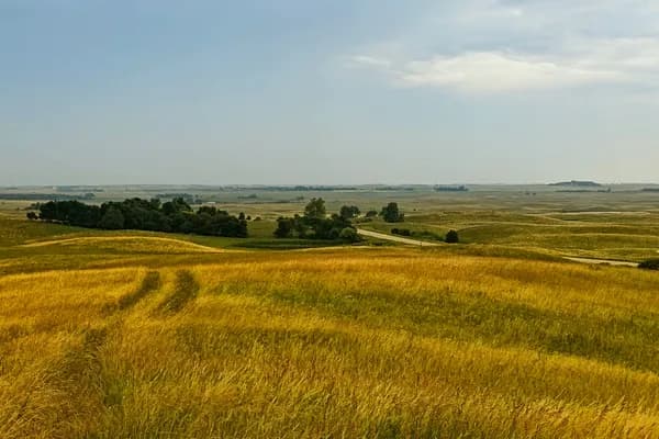 Golden prairie grass and faint vehicle tracks across rolling farmland under a hazy sky.