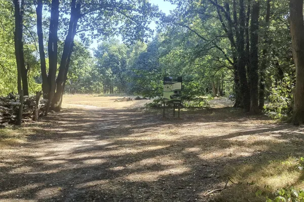IMG20220813113719