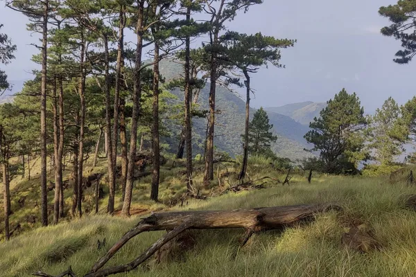 IMG20230425075558