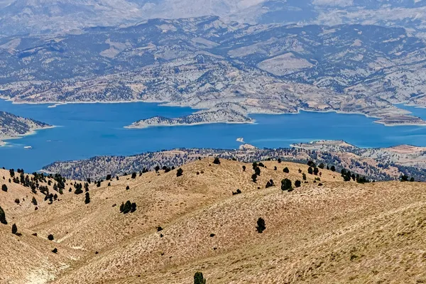 IMG20240720123445