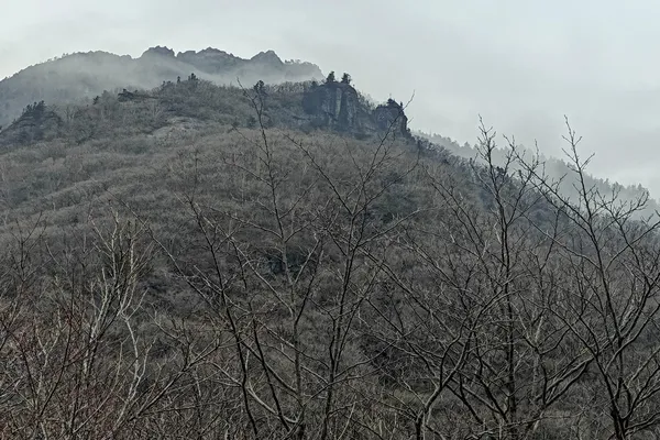 IMG20240324111048