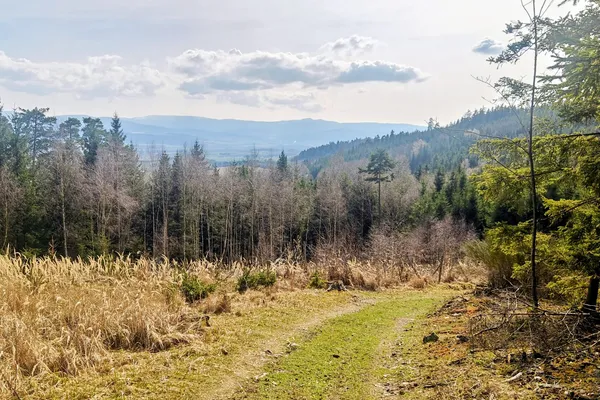 Grassy forest road on Velký Bítov with a clearing and distant low ridges under a partly cloudy sky.