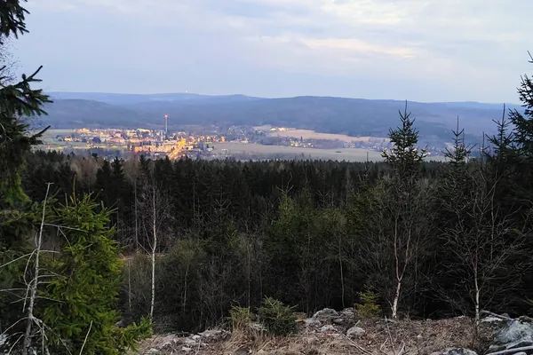 Town lights beyond dark conifers under a pale evening sky from Bambule.