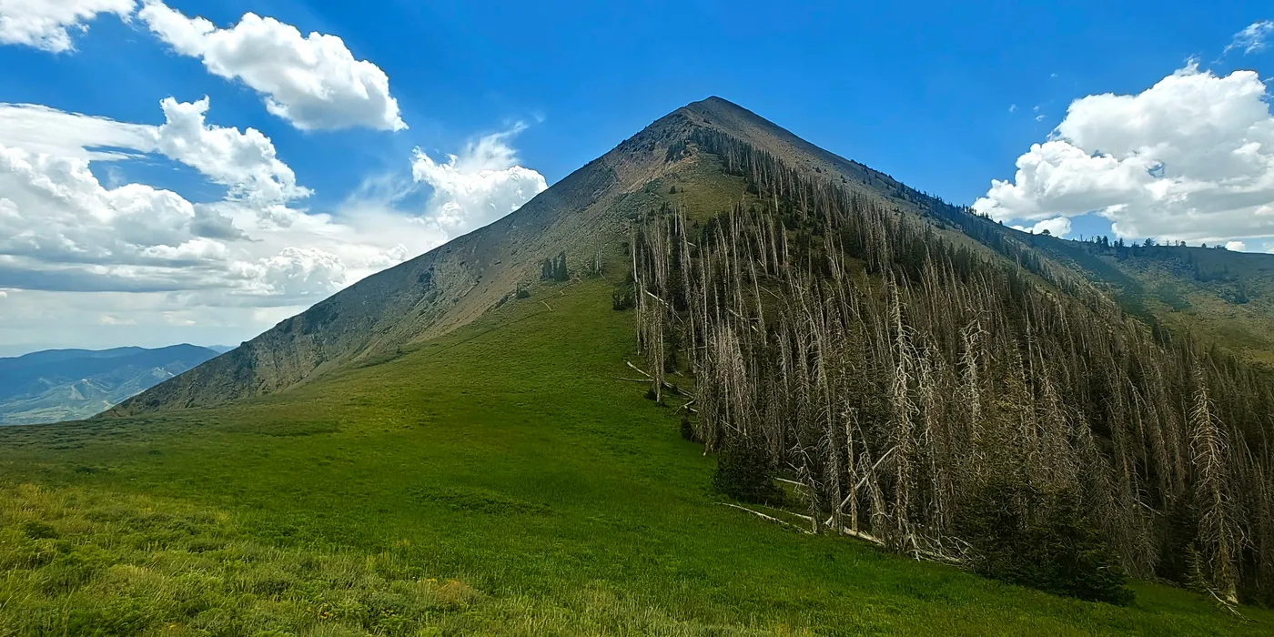 A steep green mountain ridge above open meadows and a stand of dead trees beneath bright clouds.