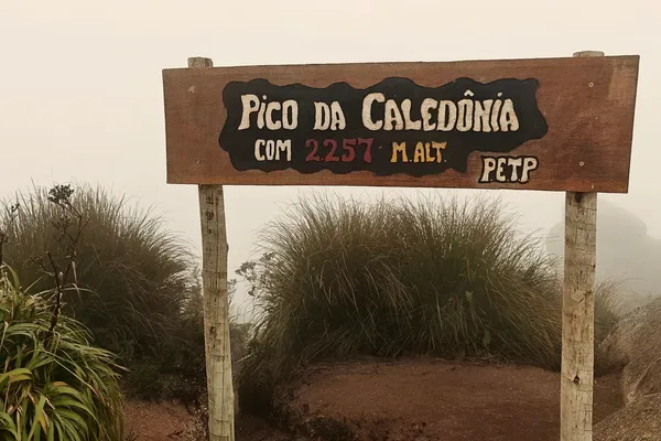 Wooden Pico da Caledonia summit sign marked 2257 metres beside rock and tall grass in fog.