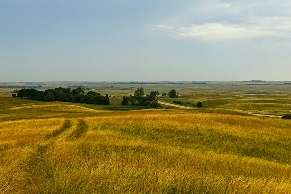 Golden prairie grass and faint vehicle tracks across rolling farmland under a hazy sky.