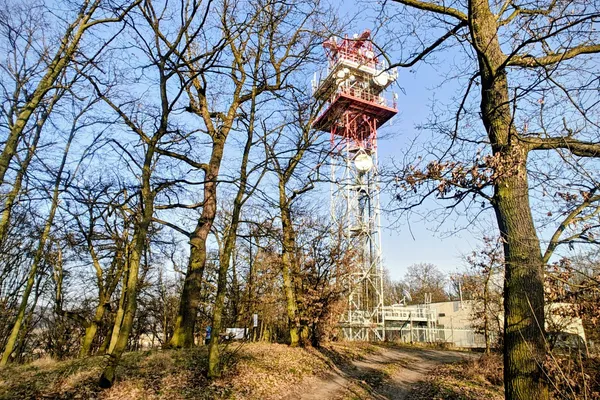 Red-and-white communications tower behind bare trees on the wooded summit ridge of Střížovický vrch.