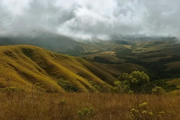 Rounded golden grass ridge dropping into a broad highland valley beneath grey cloud.