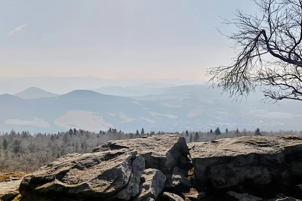 Sandstone cliff edge and a leafless tree overlooking hazy forested hills from Děčínský Sněžník.