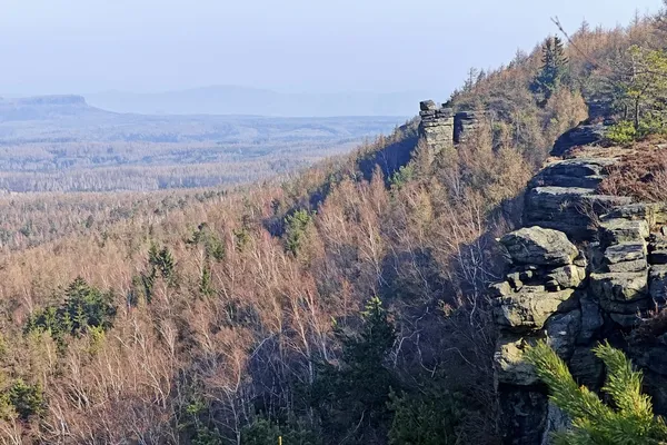 Sandstone cliffs and mixed forest on Děčínský Sněžník with hazy table mountains on the horizon.